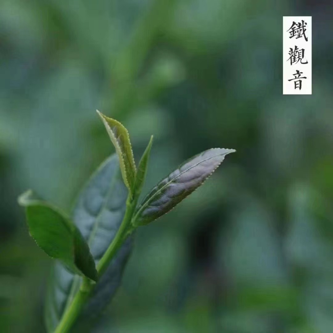 微信图片_20221015154839.jpg